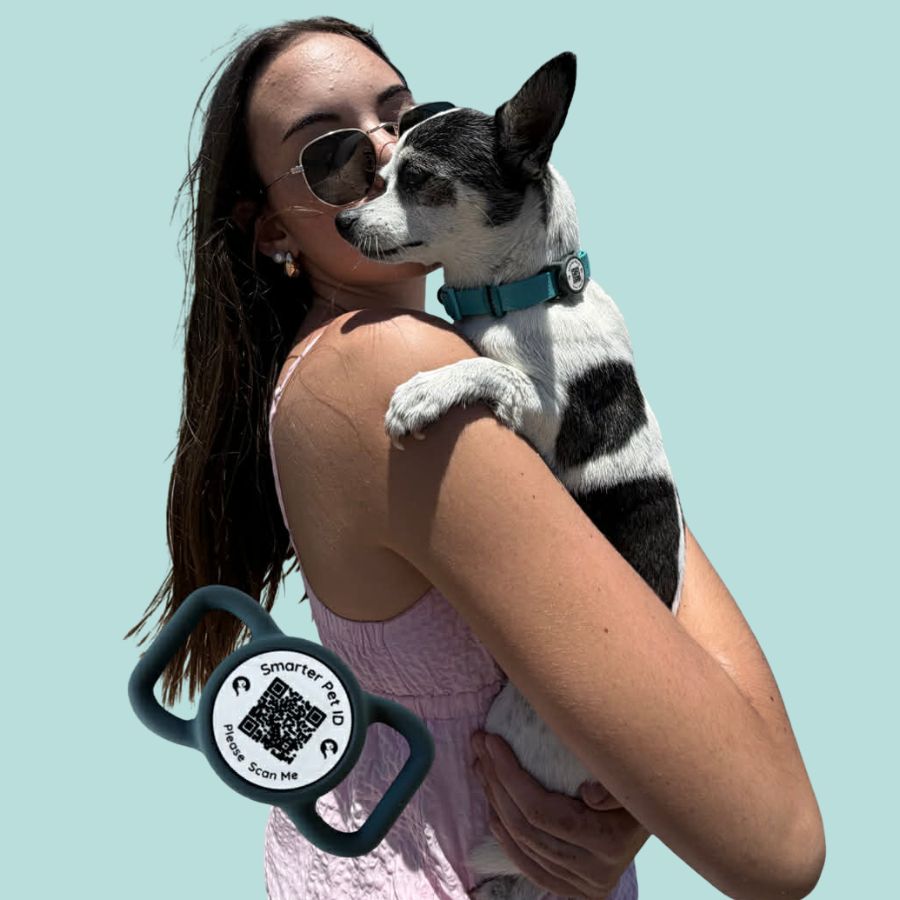 Smarter Pet ID Tag - Small