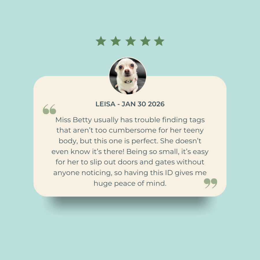 Smarter Pet ID Tag - Small