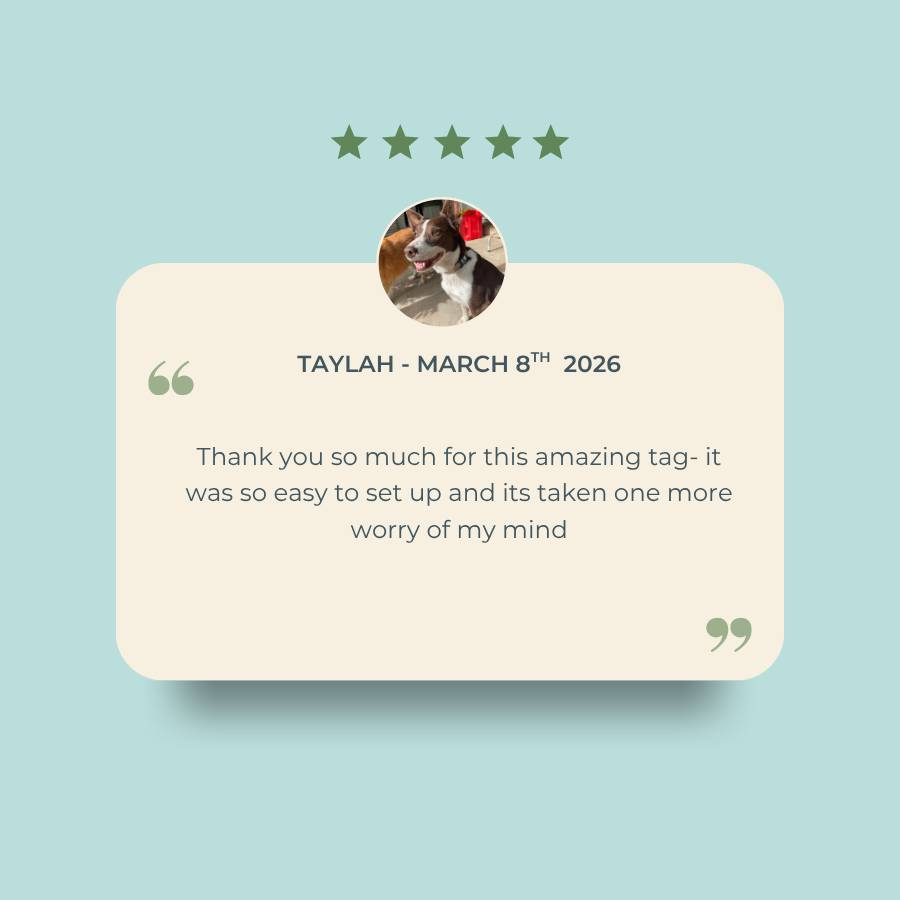 Smarter Pet ID Tag - Medium/Large